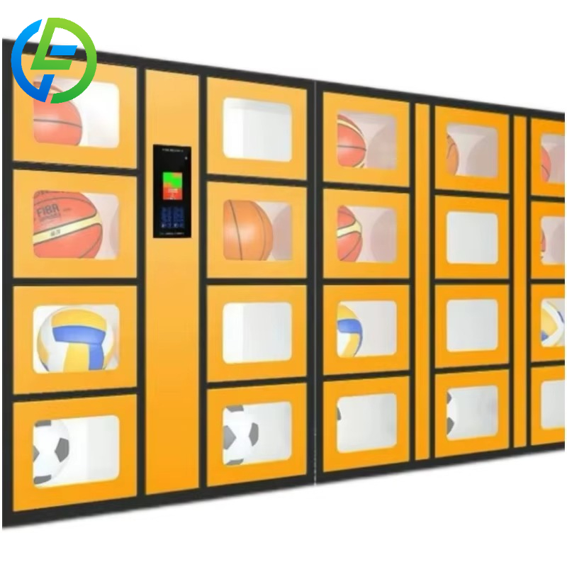 Casillero Inteligente Personal - Sports Equipment Locker reseña y precio